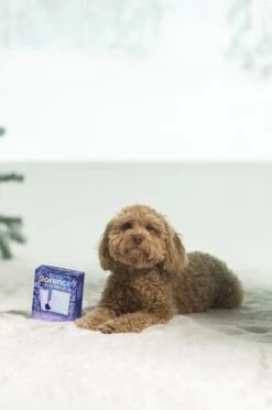 Just For You: Treat Yourself 17 Just For You: Treat Yourself -Justcuts Online Shop PDP 8d54ae4c dde6 4506 9880 fa8505a141b3